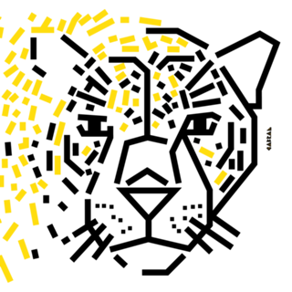 Onça-pintada
