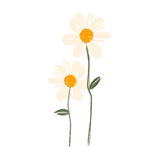 Margaridas