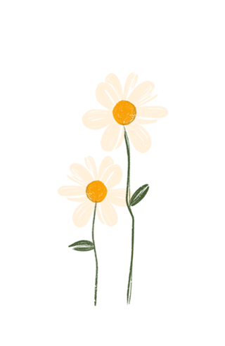 Margaridas