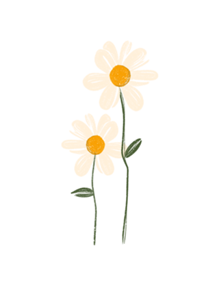Margaridas