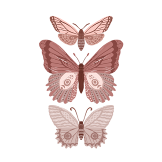 Borboleta rose
