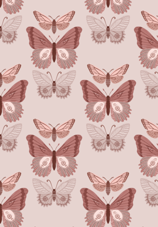 Borboleta rose
