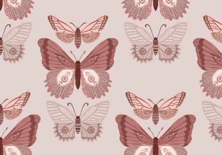 Borboleta rose