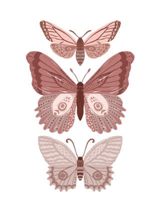 Borboleta rose
