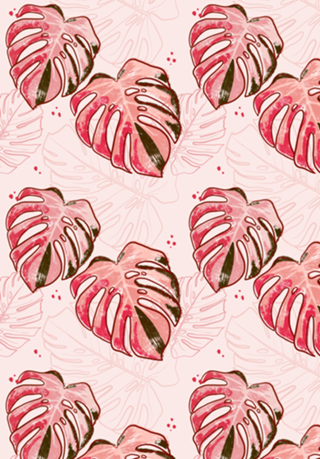 Costela rose