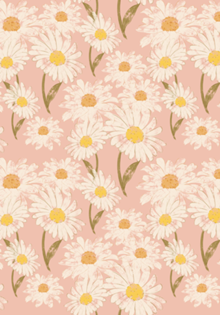 Florzinhas do campo