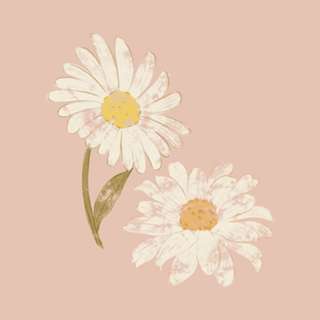 Florzinhas do campo