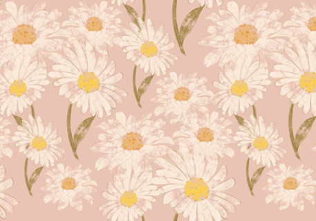 Florzinhas do campo