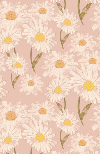 Florzinhas do campo