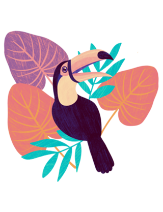 Tucano e flores