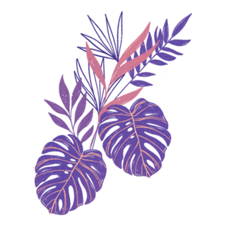 Costela roxa rosa