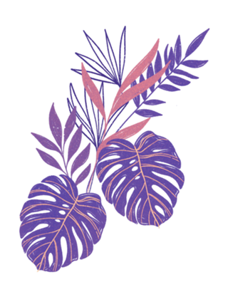 Costela roxa rosa