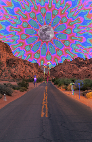 Road Trip