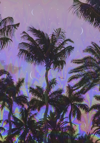 Palm Visions