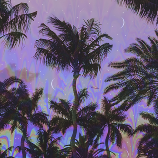 Palm Visions