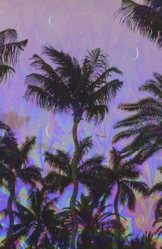 Palm Visions