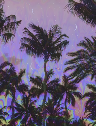 Palm Visions