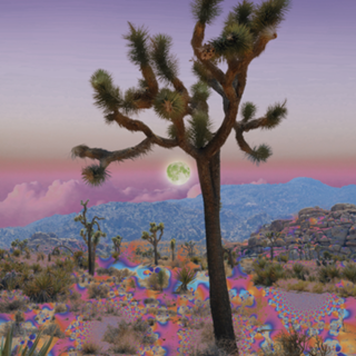 Desert Bloom