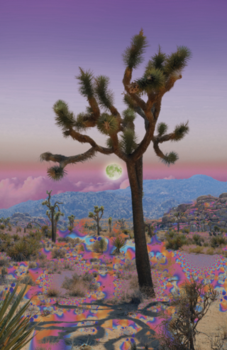 Desert Bloom