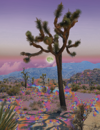 Desert Bloom