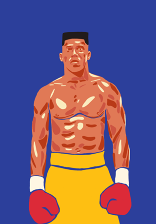 Boxer