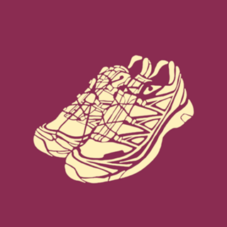 SNEAKER IX