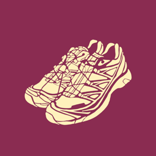 SNEAKER IX