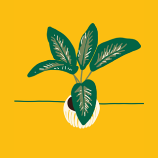 Vaso de Plantas