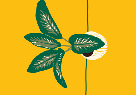 Vaso de Plantas