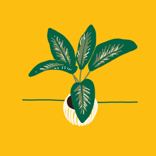 Vaso de Plantas
