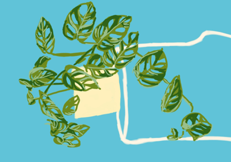 Vaso de Plantas II