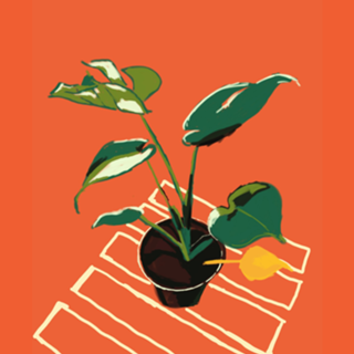 Vaso de Plantas III