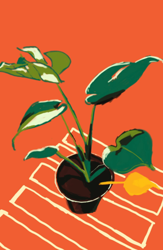 Vaso de Plantas III
