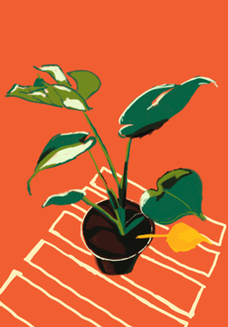 Vaso de Plantas III
