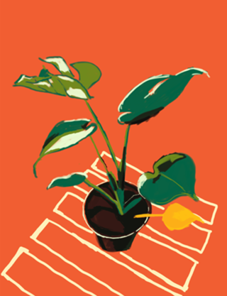 Vaso de Plantas III