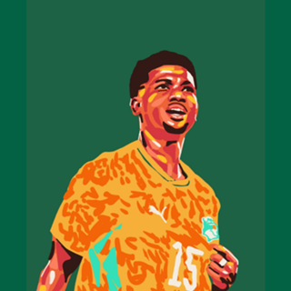 Copa do Mundo - Costa do Marfim