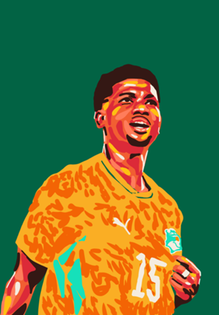 Copa do Mundo - Costa do Marfim