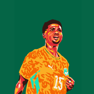 Copa do Mundo - Costa do Marfim