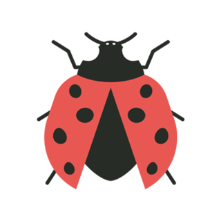 Ladybug