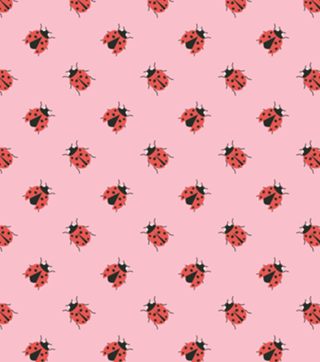 Ladybug