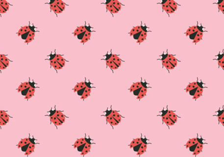 Ladybug
