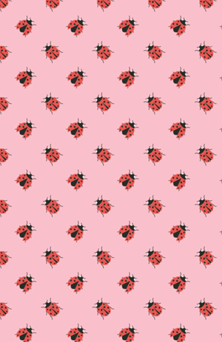 Ladybug