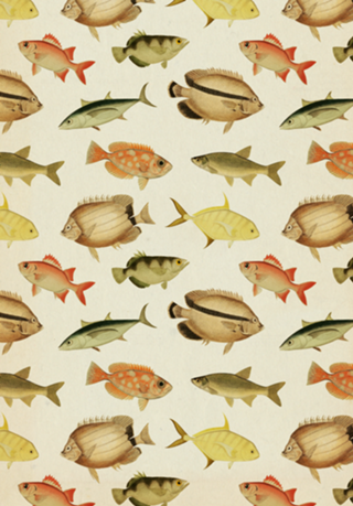 Pattern Peixes Vintage nº 1