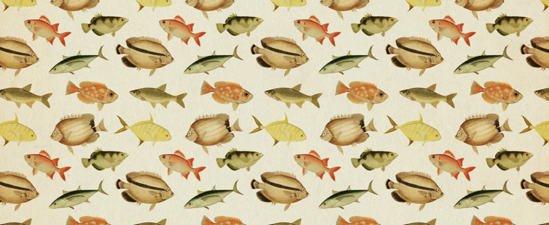 Pattern Peixes Vintage nº 1