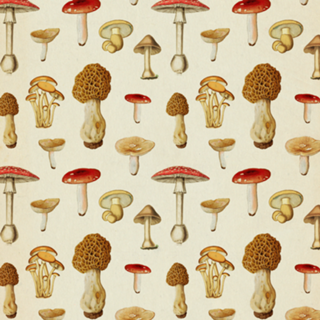 Pattern Cogumelos Vintage nº 1
