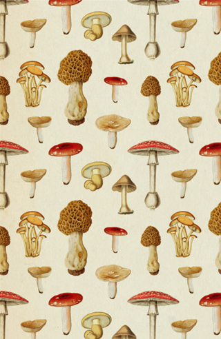 Pattern Cogumelos Vintage nº 1