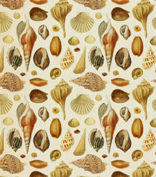 Pattern Conchas Vintage nº 1