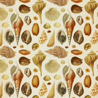 Pattern Conchas Vintage nº 1