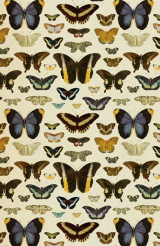Pattern Borboletas Vintage nº 1