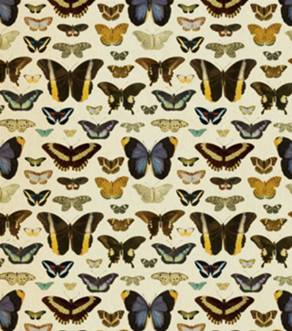 Pattern Borboletas Vintage nº 1